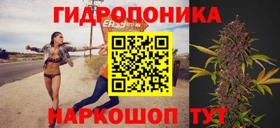 гидра Краснознаменск
