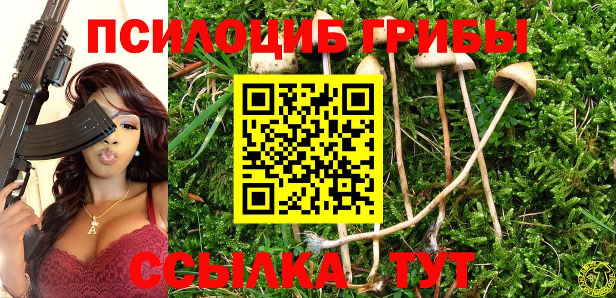 Йошкар-Ола  Галлюциногенные грибы GOLDEN TEACHER  Вход с VPN  Псилоцибиновые грибы Cubensis 